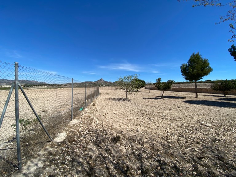 Country House for Sale in Salinas, Alicante 3