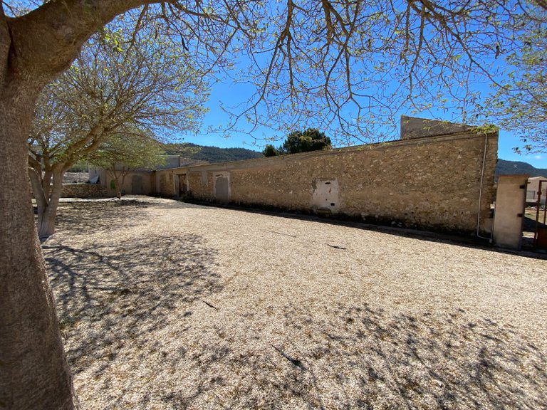 Country House for Sale in Salinas, Alicante 39