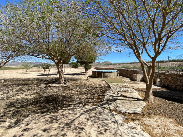 Country House for Sale in Salinas, Alicante 38