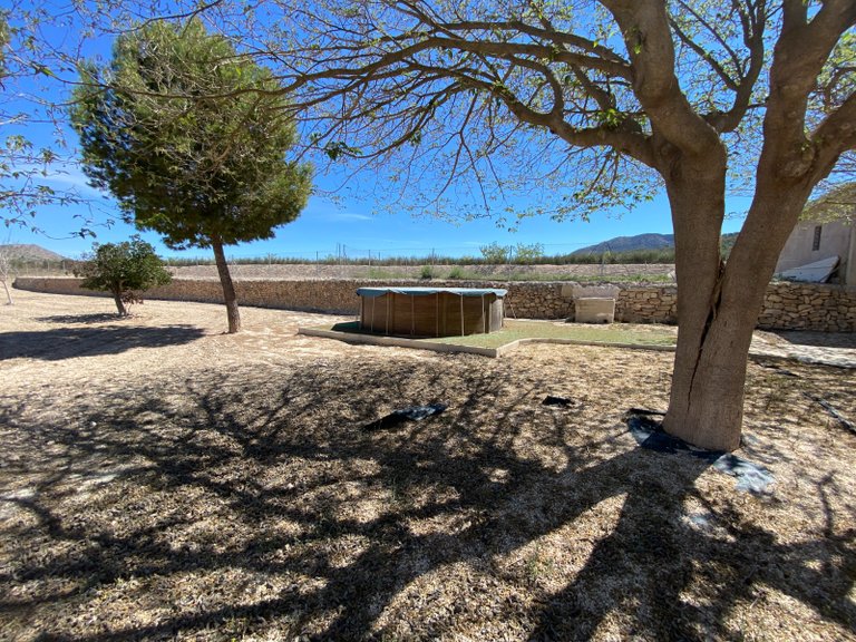 Country House for Sale in Salinas, Alicante 40