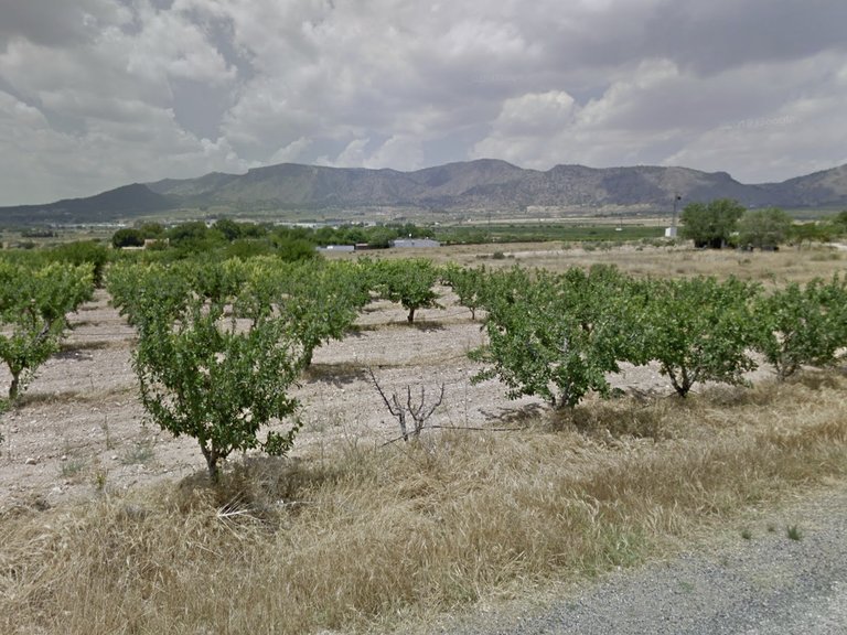 Plot for Sale in Salinas, Alicante 1