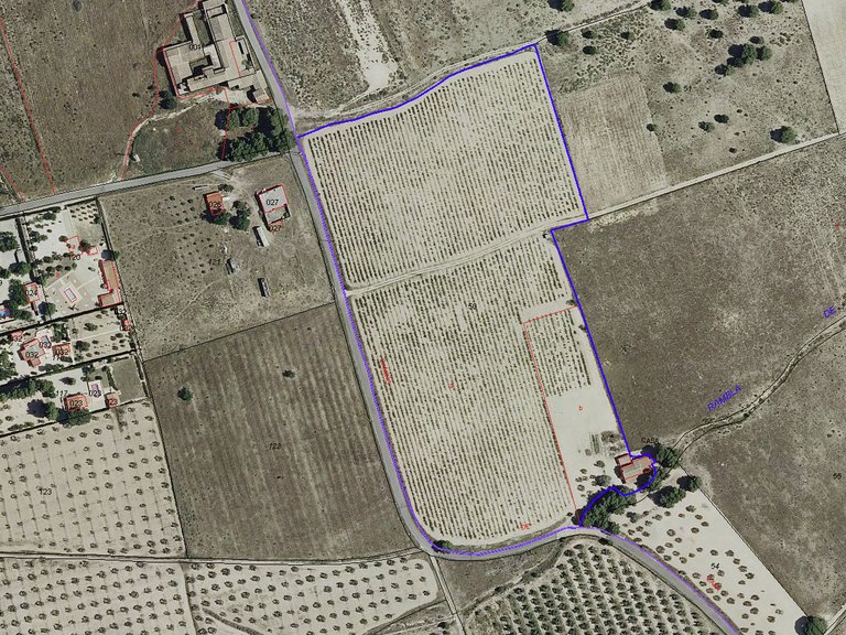 Plot for Sale in Salinas, Alicante 2