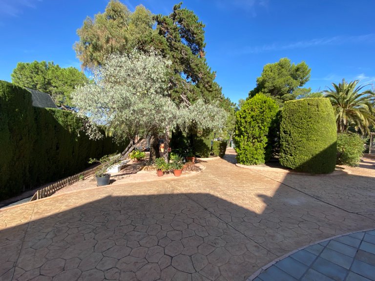Villa for Sale in Petrer, Alicante 5