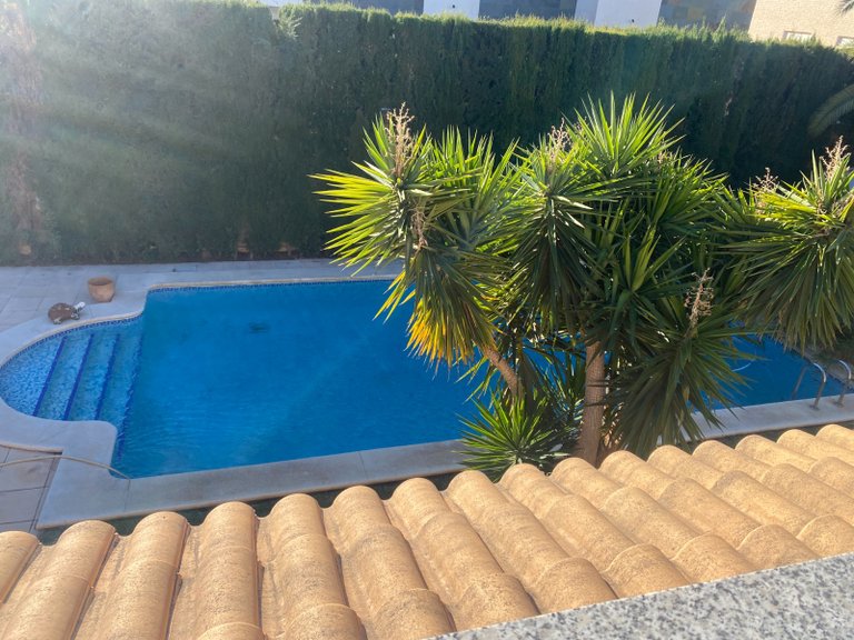 Villa for Sale in Elda, Alicante 3