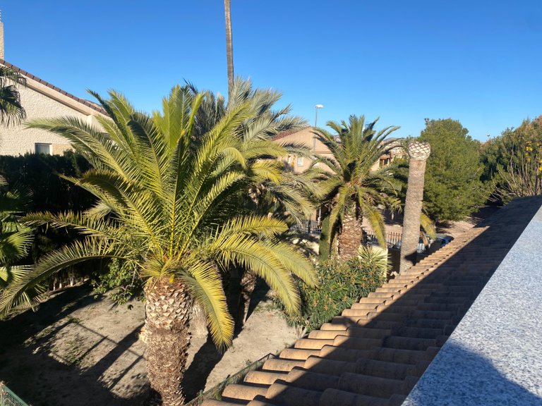 Villa for Sale in Elda, Alicante 6