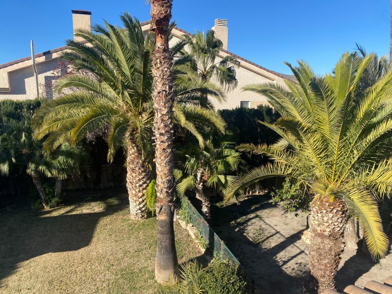 Villa for Sale in Elda, Alicante 5