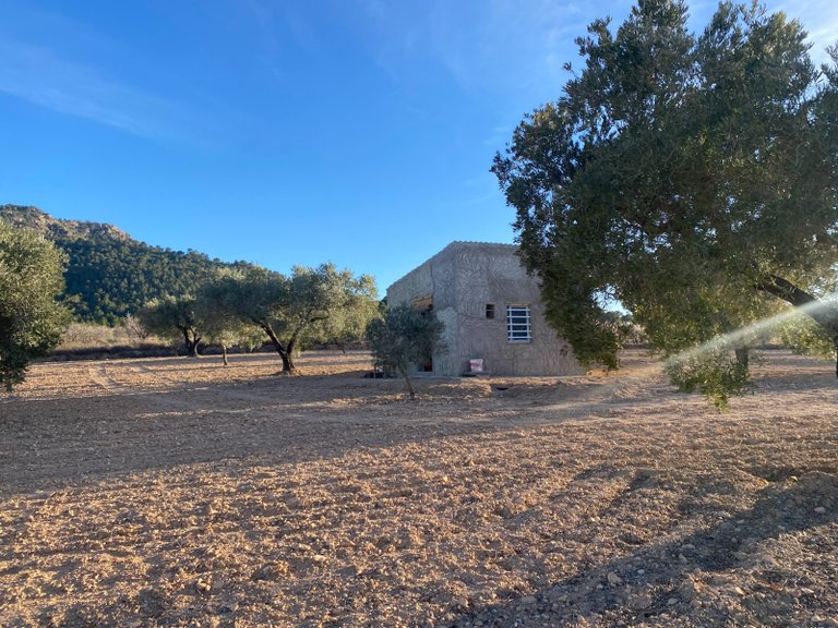 Plot for Sale in Elda, Alicante 2