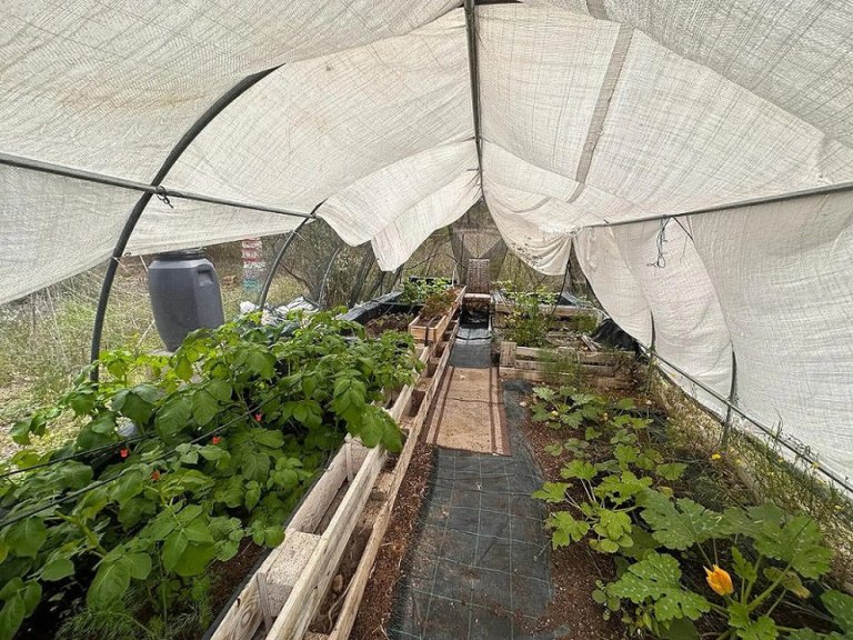 Villa for Sale in Sax, Alicante 32