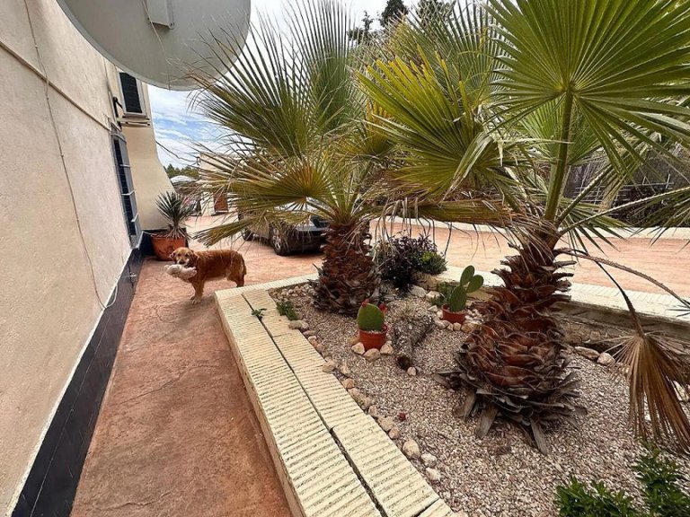 Villa for Sale in Sax, Alicante 24