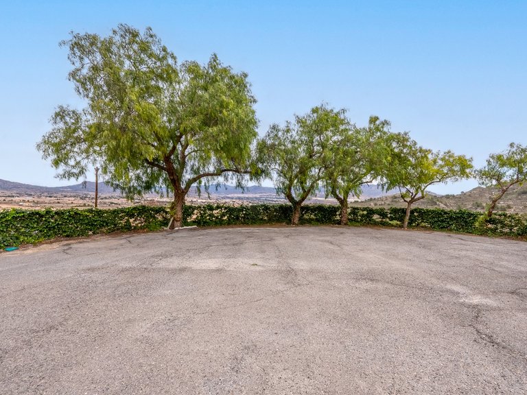 Villa for Sale in Monóvar, Alicante 3