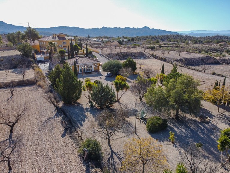 Villa for Sale in Abanilla, Murcia 3