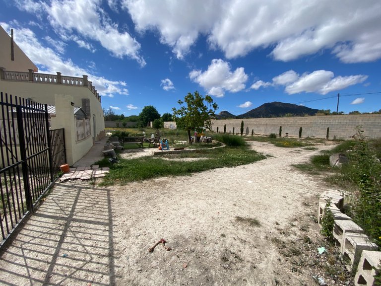 Country House for Sale in Sax, Alicante 5