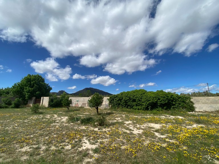Country House for Sale in Sax, Alicante 8