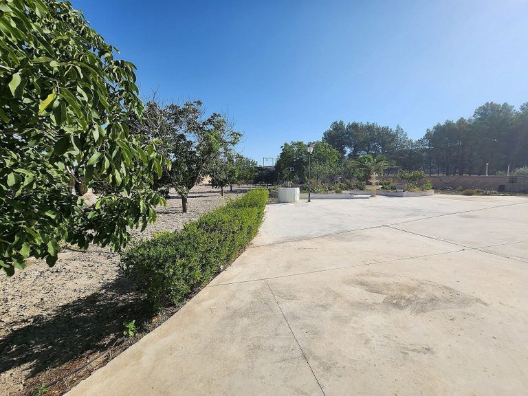 Villa for Sale in Villena, Alicante 45