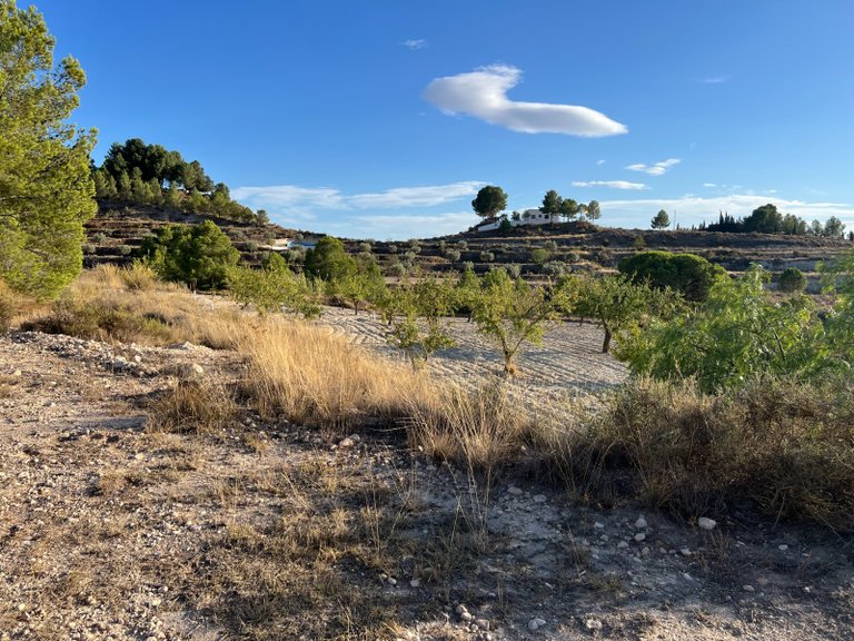 Country House for Sale in Sax, Alicante 21