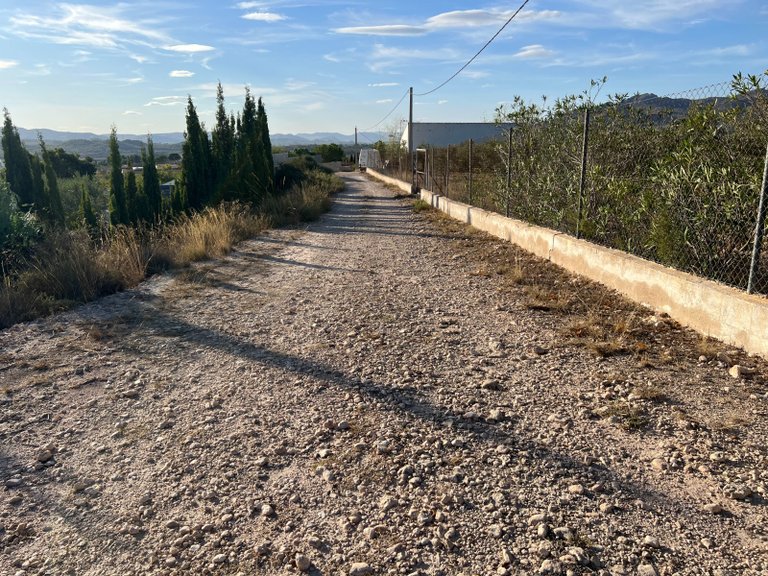 Country House for Sale in Sax, Alicante 20