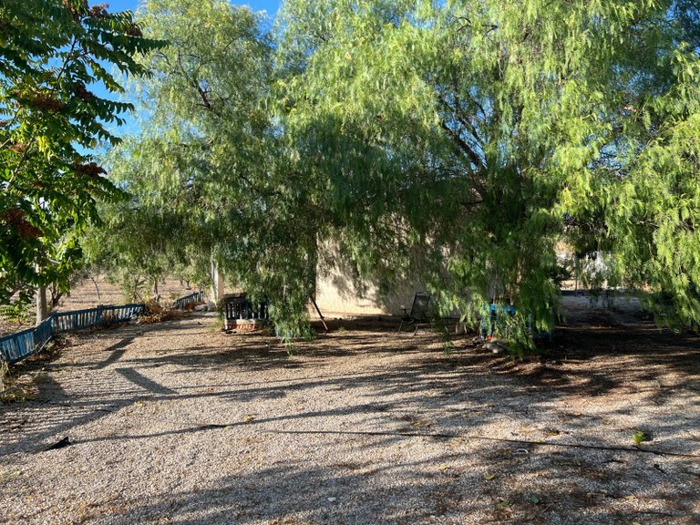 Country House for Sale in Sax, Alicante 10