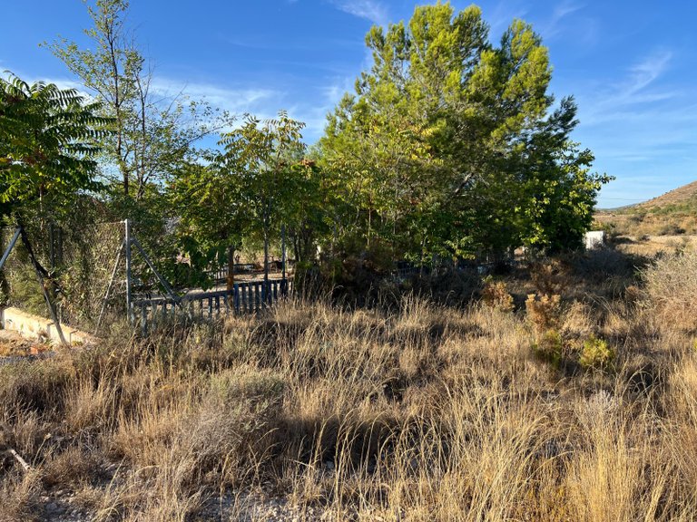 Country House for Sale in Sax, Alicante 22