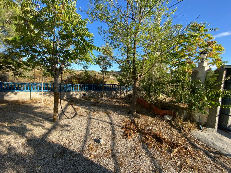 Country House for Sale in Sax, Alicante 24