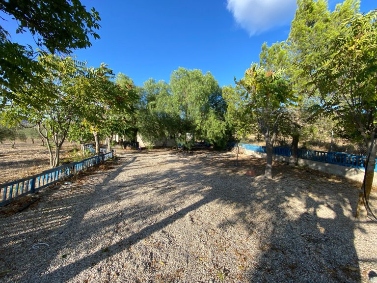 Country House for Sale in Sax, Alicante 23