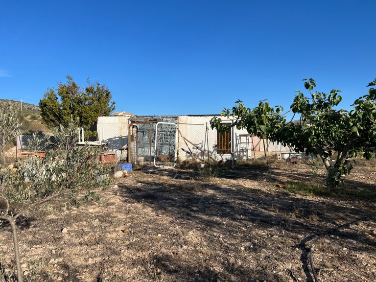 Country House for Sale in Sax, Alicante 11