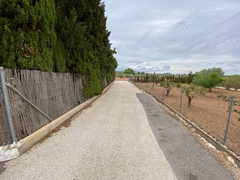 Villa for Sale in Sax, Alicante 12