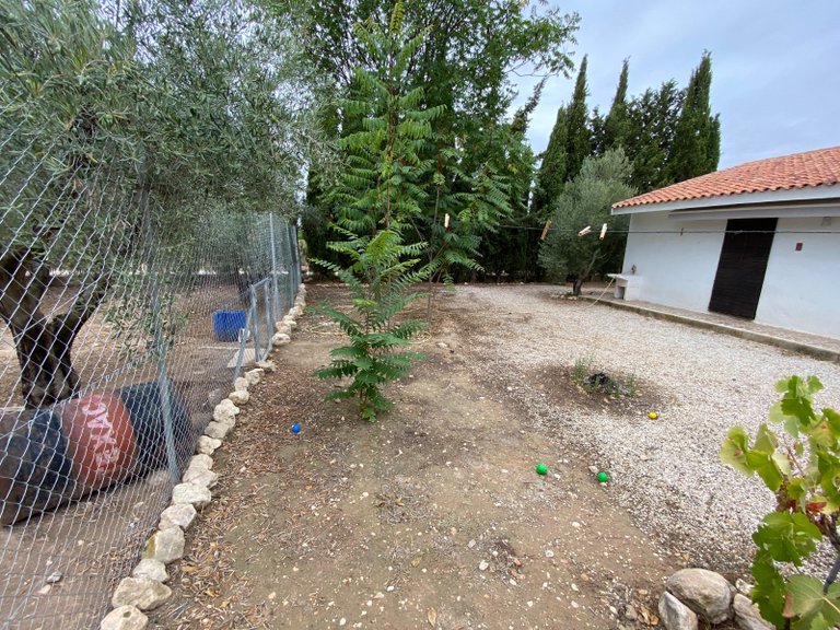 Villa for Sale in Sax, Alicante 6