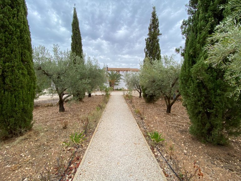 Villa for Sale in Sax, Alicante 40