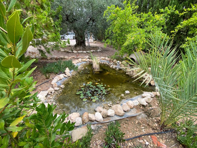 Villa for Sale in Sax, Alicante 44