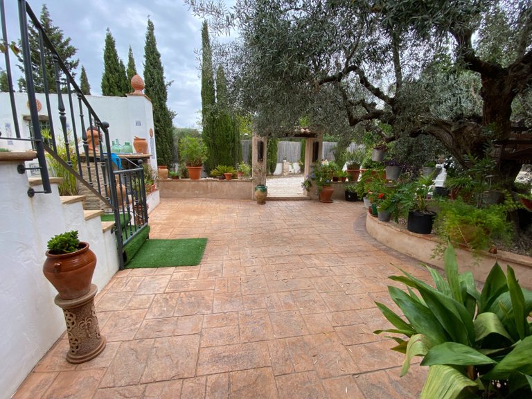 Villa for Sale in Sax, Alicante 47