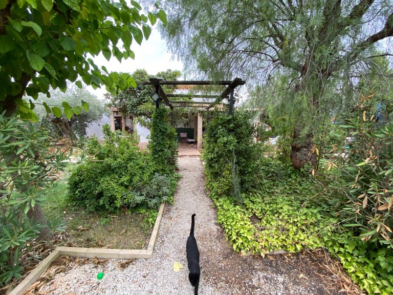 Villa for Sale in Sax, Alicante 43