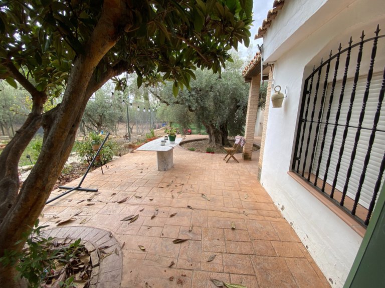 Villa for Sale in Sax, Alicante 46