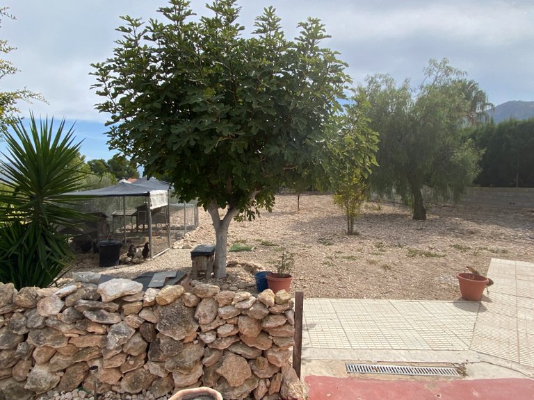 Villa for Sale in Sax, Alicante 6