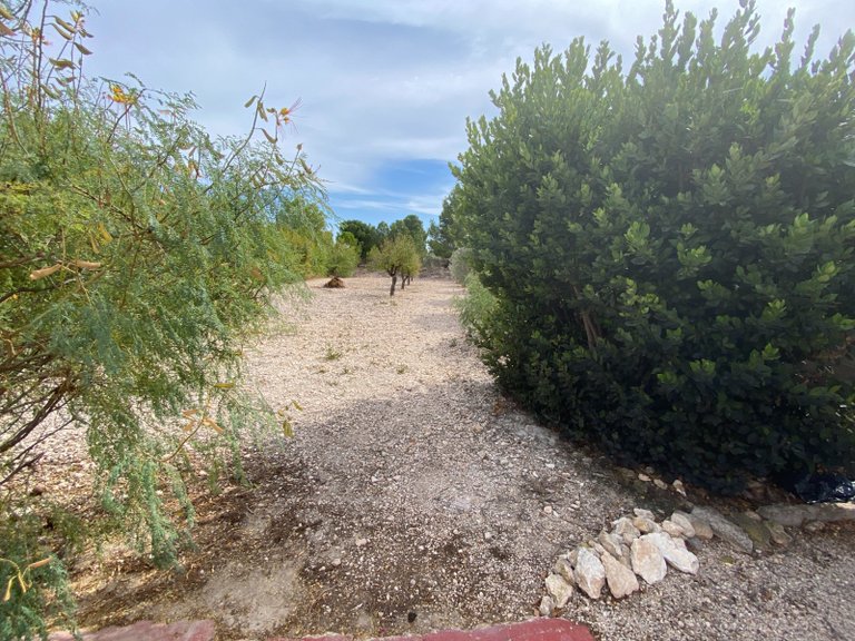 Villa for Sale in Sax, Alicante 45