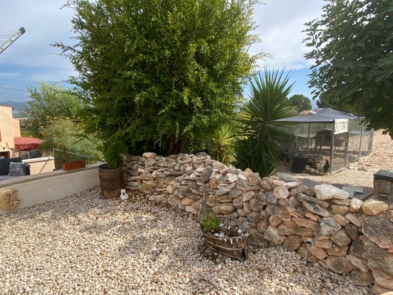 Villa for Sale in Sax, Alicante 38