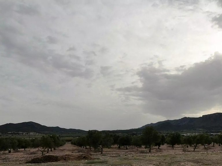 Villa for Sale in Salinas, Alicante 29