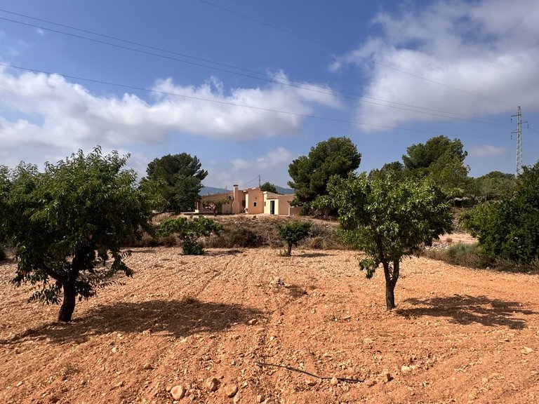 Villa for Sale in Monóvar, Alicante 3