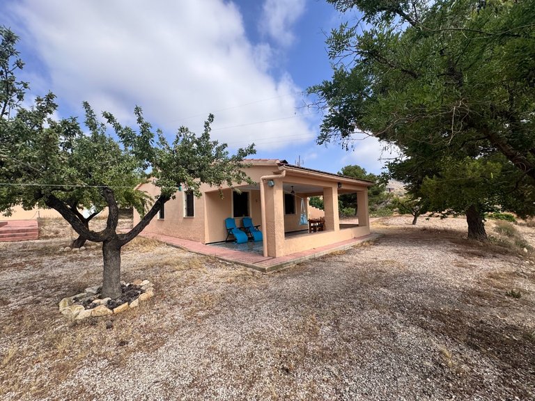 Villa for Sale in Monóvar, Alicante 10