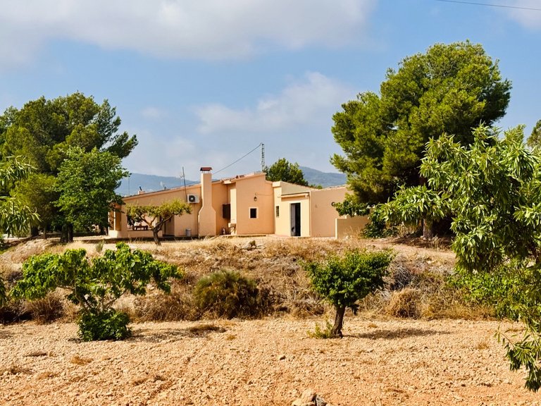 Villa for Sale in Monóvar, Alicante 5