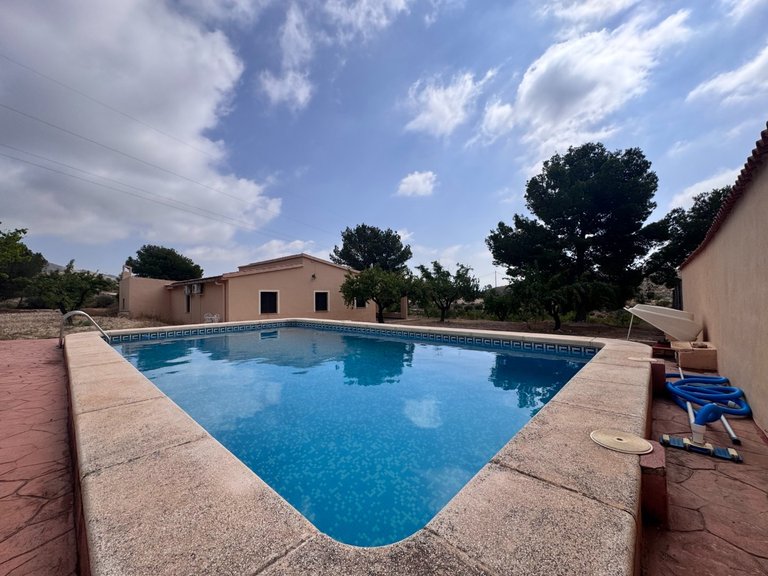 Villa for Sale in Monóvar, Alicante 13