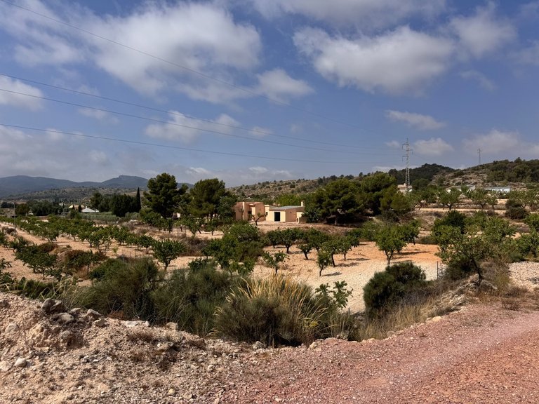 Villa for Sale in Monóvar, Alicante 26