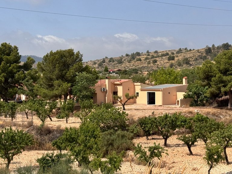 Villa for Sale in Monóvar, Alicante 27