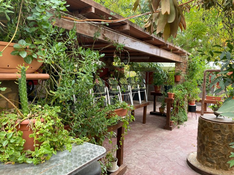 Country House for Sale in Sax, Alicante 3