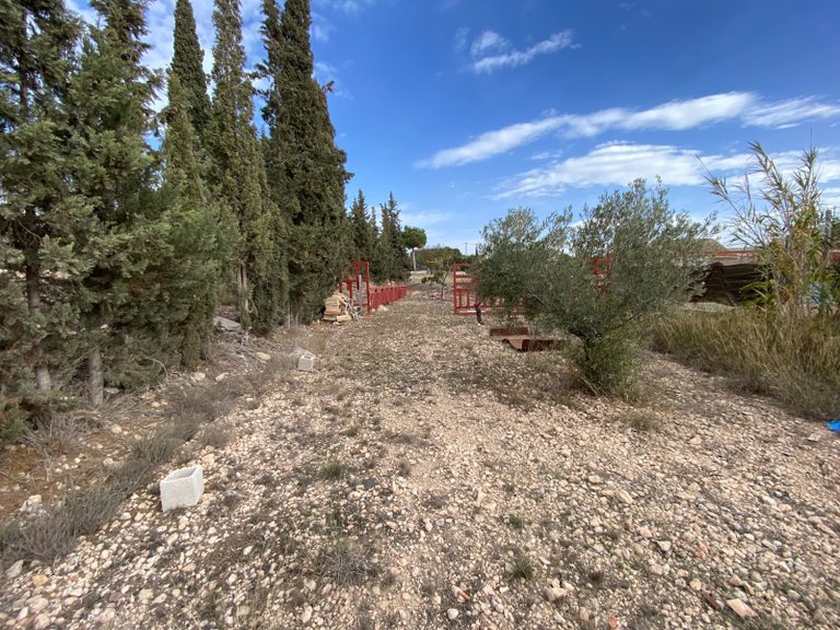 Country House for Sale in Sax, Alicante 11