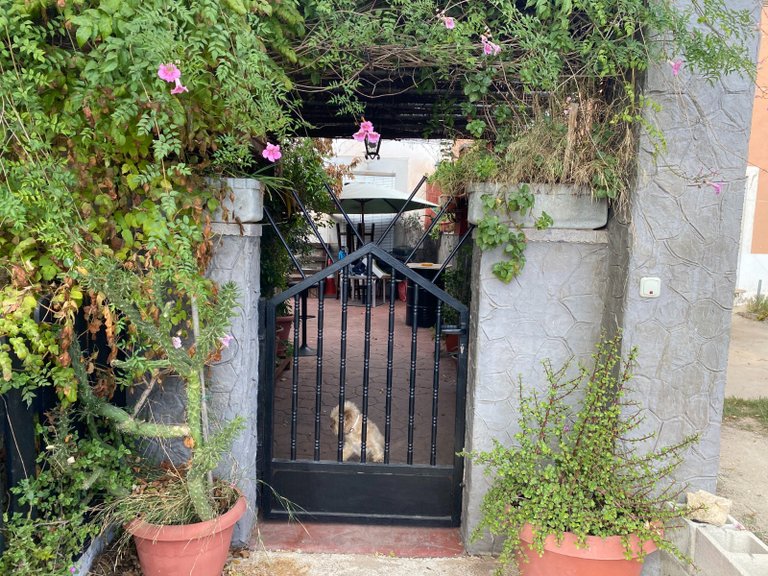Country House for Sale in Sax, Alicante 25