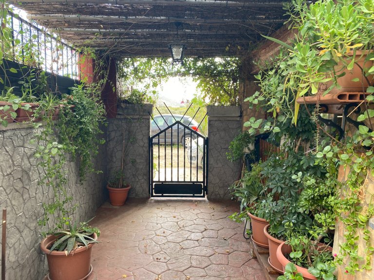Country House for Sale in Sax, Alicante 26