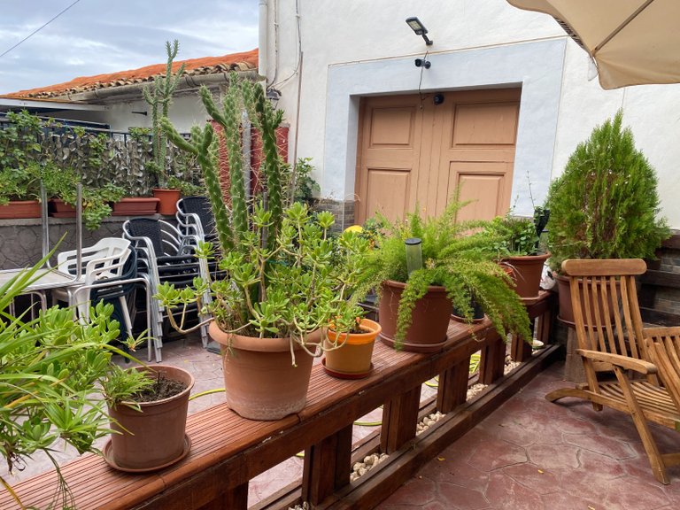Country House for Sale in Sax, Alicante 27