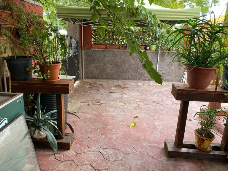 Country House for Sale in Sax, Alicante 29