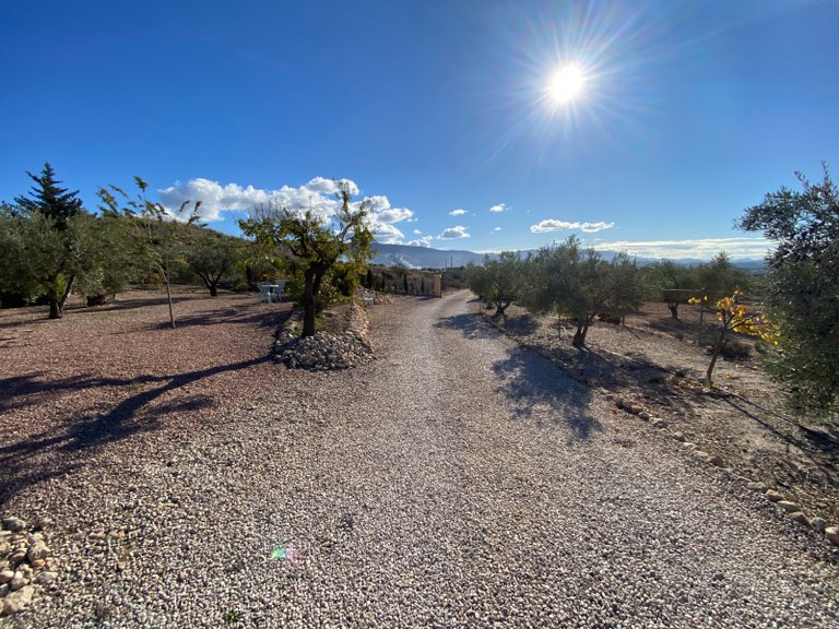 Villa for Sale in Sax, Alicante 31