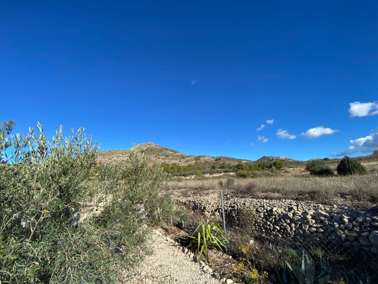 Villa for Sale in Sax, Alicante 33